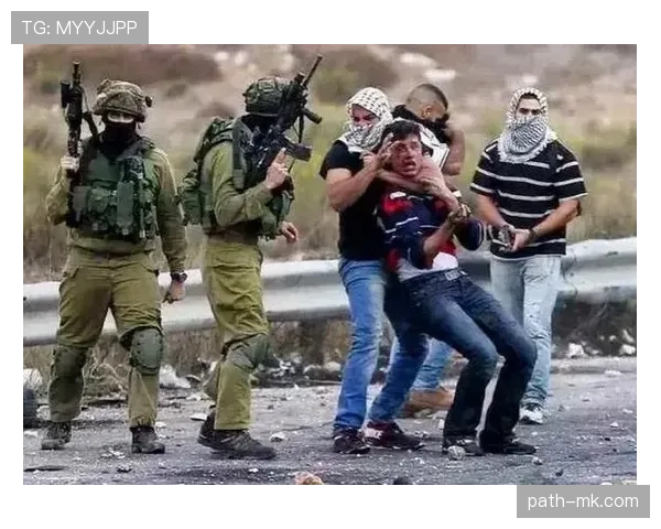 马里冲突持续升级，地区局势引发国际社会高度关注