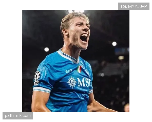 霍伊伦表现如何？专家最新点评